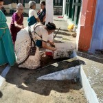 RVS kaal naattu pooja for RVS thaipoosa thiruvizha-28