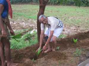 Plantingin Kasiviswanatha templeRRS